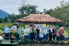 Jaga Ketahanan Pangan, IKBI PTPN Sebar Ikan Nila di kolam Stunting 