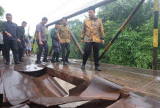 Akses Vital Masyarakat, Bupati BBS Tinjau Jembatan Rusak Desa Kebun IX 