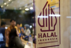 Produk Impor Tetap Bisa Masuk, Wajib Penuhi Aturan Halal