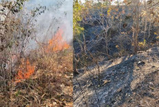 Kebakaran Hutan dan Lahan Melanda Berbagai Kabupaten di Jawa Timur 