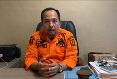 Kasus Karhutla di Kota Jambi Capai 83 Kejadian, Agustus dan September Jadi Puncak Kebakaran