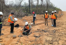 Kemenhut Tetapkan Dua Perusahaan sebagai Tersangka Kasus Karhutla, Satu Berstatus PMA Singapura