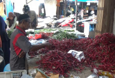 Harga Cabai Merah di Kuala Tungkal Melonjak Jadi Rp80 Ribu per Kilogram