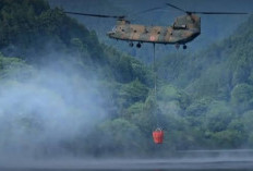 Bantu Atasi Karhutla Kalimantan, Jepang Kerahkan 600 Personel dan Tiga Helikopter