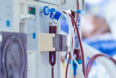 Gaya Hidup Praktis Picu Lonjakan Diabetes dan Gagal Ginjal pada Anak Muda