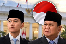 Dua Tahun Pemerintahan Prabowo-Gibran, Inilah Perubahan yang Terjadi di Indonesia