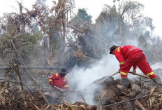 Diguyur Hujan, Asap Karhutla Masih Mengepul dari Gambut TNBS Jambi