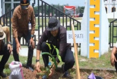 Kolabirasi Bersama Generasi Muda, Merangin Tanam 4.000 Pohon Serentak Dengan Menteri LH