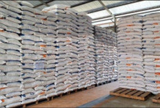 BULOG Jambi Pastikan Stok Beras dan Minyak Goreng Sangat Aman, Masyarakat Diimbau Tidak Panik