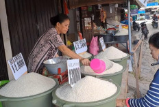 Stok Aman, Harga Beras di Sejumlah Pasar Tradisional Kota Jambi Terpantau Stabil Akhir Juli 2026