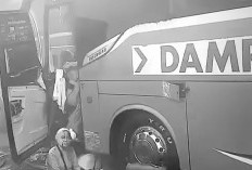 Terhalang Kabut Asap Tebal, Bus Damri Tabrak Bus ALS di Tol Palembang-Indralaya