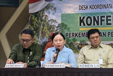Kemenkes Ungkap 283 Ribu Kasus ISPA di Wilayah Terdampak Karhutla
