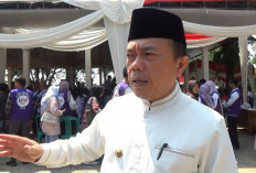Gubernur Al Haris Instruksikan Penanganan Cepat Musibah Kebakaran di Nipah Panjang  