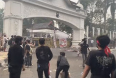 Karhutla Picu Demo di Kantor Gubernur Jambi, Pemprov Siapkan ASN Muda Bantu Pemadaman