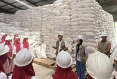 Bulog Jambi Pastikan Stok 10.955 Ton Beras Cadangan Aman Penuhi Kebutuhan Empat Bulan