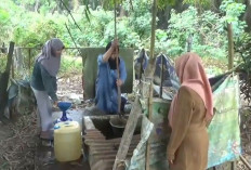 Kekeringan Panjang, Warga Tanjung Pauh Muaro Jambi Andalkan Sumur Sekolah hingga Buat Sumur Baru 
