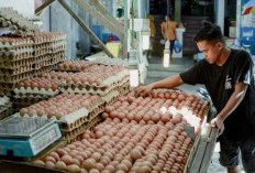 Pasokan Stabil, Harga Eceran Menyesuaikan
