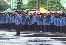 Hasil Evaluasi OPD, 2.332 PPPK Paruh Waktu Akan Diperpanjang Kontrak  