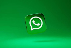 WhatsApp Buka Akses AI 24 Jam untuk Bisnis, Pelayanan Pelanggan Jadi Tanpa Batas