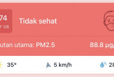 AQI Kota Jambi Capai 174, Kualitas Udara Masuk Kategori Tidak Sehat