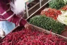 Harga Bahan Pokok di Kota Jambi 29 Januari 2026 Masih Terkendali, Cabai Alami Pergerakan Harga