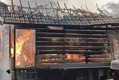 Kebakaran Hanguskan Rumah Bidan di Pemayung Batanghari