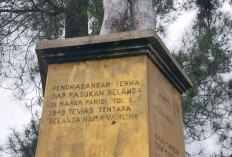 Desa Tumpuk Tangah: Potensi Wilayah, Jejak Sejarah, dan Kekayaan Alam