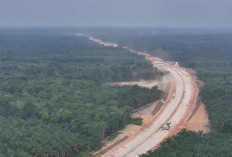 Progres Tol Betung–Jambi Seksi 1B Tembus 31 Persen, Perjalanan ke Jambi Diperkirakan Hanya 30 Menit