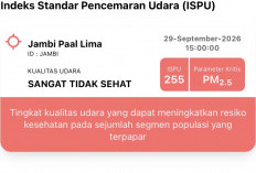 ISPU Kota Jambi Capai 255, Kualitas Udara Masuk Kategori Sangat Tidak Sehat