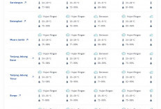 Prakiraan Cuaca Jambi 20 2026: Hujan Ringan Dominasi, Sejumlah Wilayah Berpotensi Petir