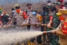 Kebakaran Gambut Tanjabtim Capai 86 Hektare, Asap Masih Mengepul
