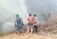 Polsek Merlung Temukan Lahan Seluas 2 Hektare Terbakar di Desa Muara Danau