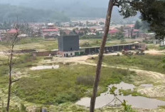 Aktivitas PETI di Wilayah Hulu Jambi Jadi Perhatian, Polda Jambi Siap Tindak Tegas