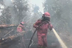 Dua Pekan Terbakar, Petugas Masih Berjibaku Padamkan Karhutla di Tanjabtim