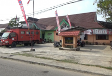 Kasus Karhutla, BPBD Sebut 667,55 Hektare Lahan Terbakar hingga 30 September