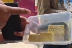 Menu MBG Viral, Lele Mentah hingga Kelapa Utuh Jadi Sorotan Pakar Gizi