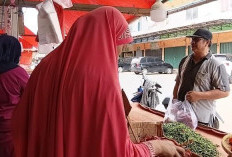 Update Harga Bahan Pokok di Kota Jambi per 27 Januari 2026, Cabai Merah Alami Kenaikan