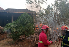 Rumah Semi Permanen di Paal Merah Terbakar, Kerugian Ditaksir Rp50 Juta