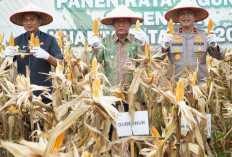 Wagub Sani Dukung Program Perkuat Kedaulatan Pangan Daerah dan Nasional