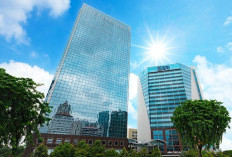 Lebih Dari Dua Dekade Melantai di Bursa Efek Indonesia, Harga Saham BBRI Telah Naik 48 Kali