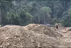 Tambang Emas Ilegal Marak di TNKS dan Tanah Ulayat, Kerusakan Ekologi Mengancam