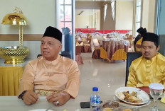 Hadiri Hari Jadi ke-61 Tanjab Barat, Usman Ermulang Usulkan Nama Makam Pahlawan Selemang Merah  