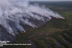 Manggala Agni Berjibaku hingga Larut Malam Padamkan Karhutla di Desa Pulau Mentaro