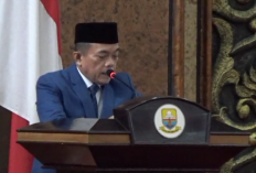 Karhutla Marak di Area Konservasi, Al Haris Wacanakan Pengelolaan oleh Pihak Ketiga