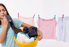 Ini Cara Menghilangkan Bau Apek Baju Tanpa Dryer saat Musim Hujan