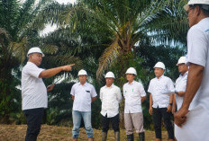 Strategi Inklusif PTPN IV Palmco, Kelola Keberagaman 55 Suku Bangsa untuk Dongkrak Produktivitas