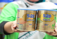 Dua Bets Formula Bayi Impor Ditarik, BPOM Imbau Orang Tua Waspada