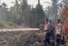 Polsek Tungkal Ilir Padamkan Karhutla di Pembengis, Setengah Hektare Lahan Terbakar