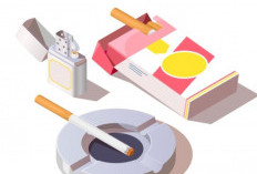 Purbaya Legalkan Rokok Ilegal! Aturannya Bakal Terbit Pekan Depan