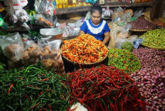 Update Harga Cabai di Kota Jambi: Komoditas Cabai Merah Cenderung Stabil